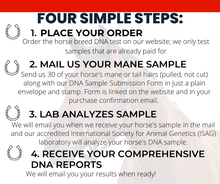Load image into Gallery viewer, Horse DNA Breed Test