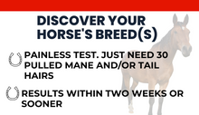 Load image into Gallery viewer, Horse DNA Breed Test