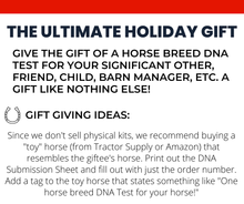 Load image into Gallery viewer, Horse DNA Breed Test
