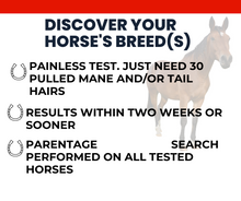 Load image into Gallery viewer, Horse DNA Breed Test
