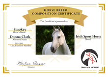 Load image into Gallery viewer, Horse DNA Breed Test
